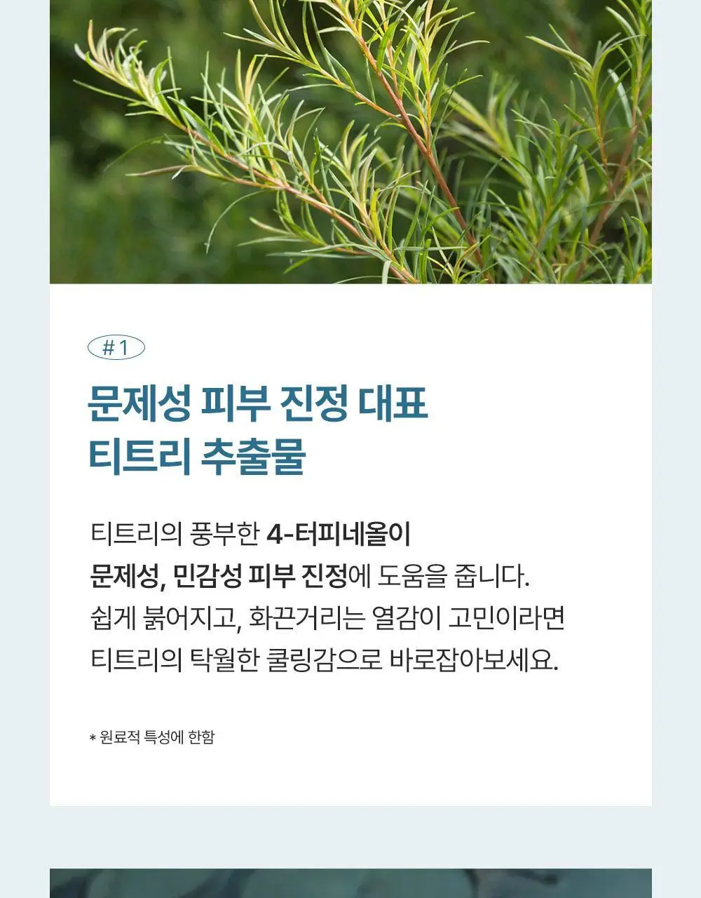 에필로우 시트 마스크 5매 [결가드닝/속건조 다도/진정 마음챙김] 3종 중 택1 상세페이지 13